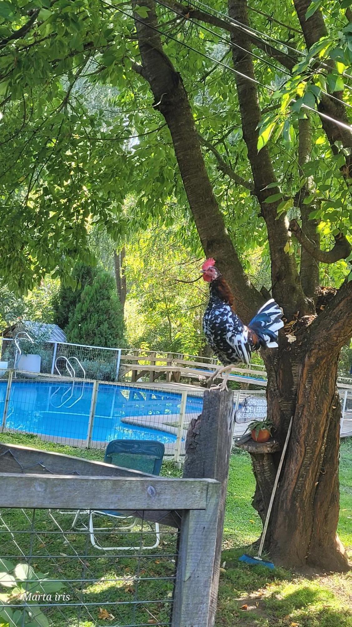 Cabanas Aguas Claras Pinto Pokój zdjęcie